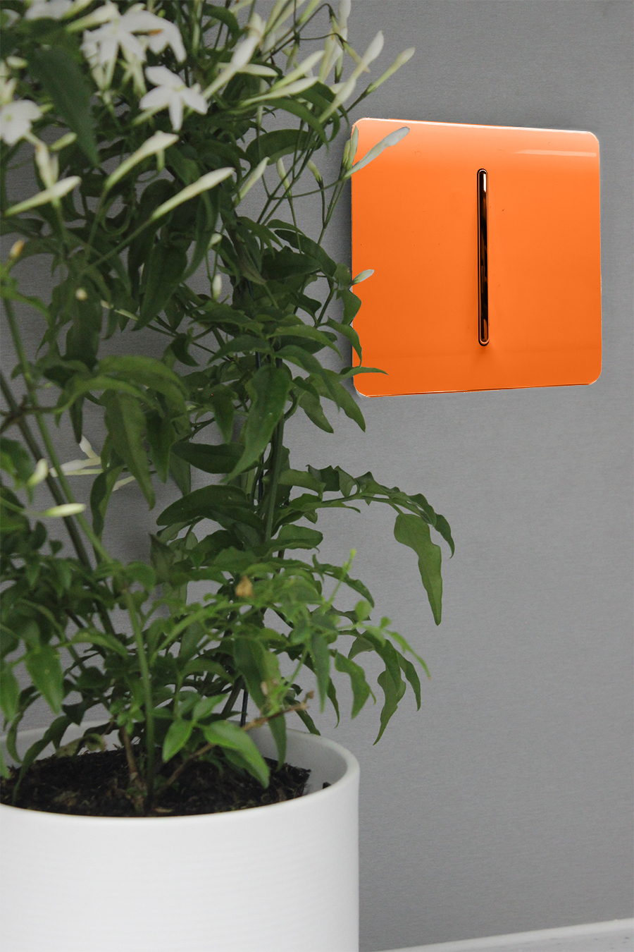 Orange Wiring Accessories Trendi Decorative Screwless